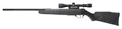 Gamo Nitro 17 4.5