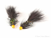 Sissos Wooly Bugger Leech Black #10 2kpl