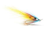 Salar Sunburst Garry Dog, Duncan Egan