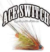Vision Ace Switch, Uutuus 2012!