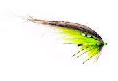 Salar The Witch Classic, Mikael Fr�din