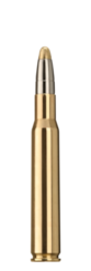 RWS .30-06 Evo 11,9 g  kiv��rinpatruuna