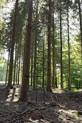 Passitorni Treestand Economy 4,1 m