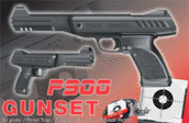 Gamo P900 4,5mm Gunset