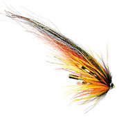 Salar Willie Gun Puzzy, Mikael Fr�din