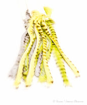 TF Barred Rabbit Strips 1/8'' (3mm)