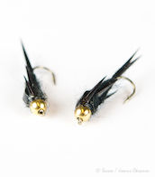 Sissos Witch Nymph Gold Head Black #12 2kpl