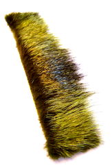 Eumer Nutria