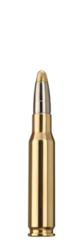 RWS .308 Evo 11,9 g  kiv��rinpatruuna
