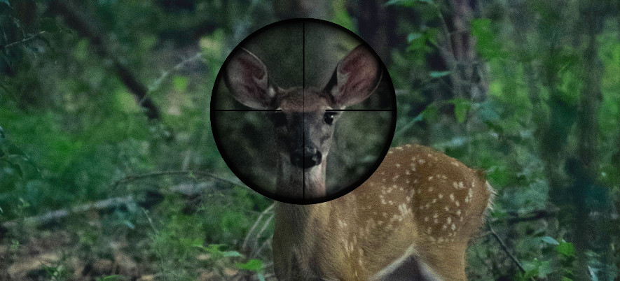 Kiikaritähtäimen Valinta