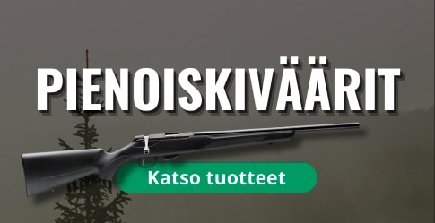 Pienoiskiväärit