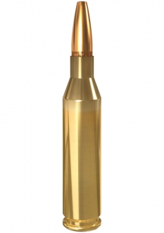 Lapua .243 Win Soft Point E497 6,5g - .243 Winchester kiväärinpatruunat - 6418267102360 - 3