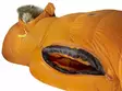 Fjällräven Polar -30 Reg Burnt Orange - Makuupussit - 7392158988990 - 4