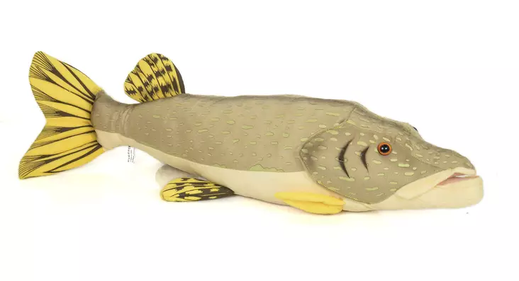 Pehmokala Hauki 80cm - Pehmolelut - 6430018771120 - 2