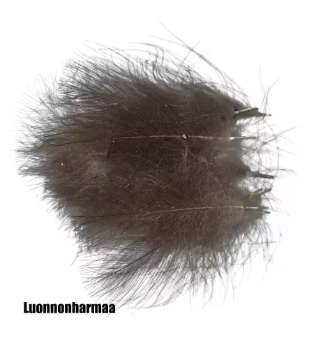 Eumer CDC-höyheniä - Sulat, höyhenet, päät, pyrstöt - 6430028180011 - 1