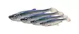 Savage Gear 3D Herring Shad 28cm 150g - Haukishadit- ja jigit - 5706301022011 - 1