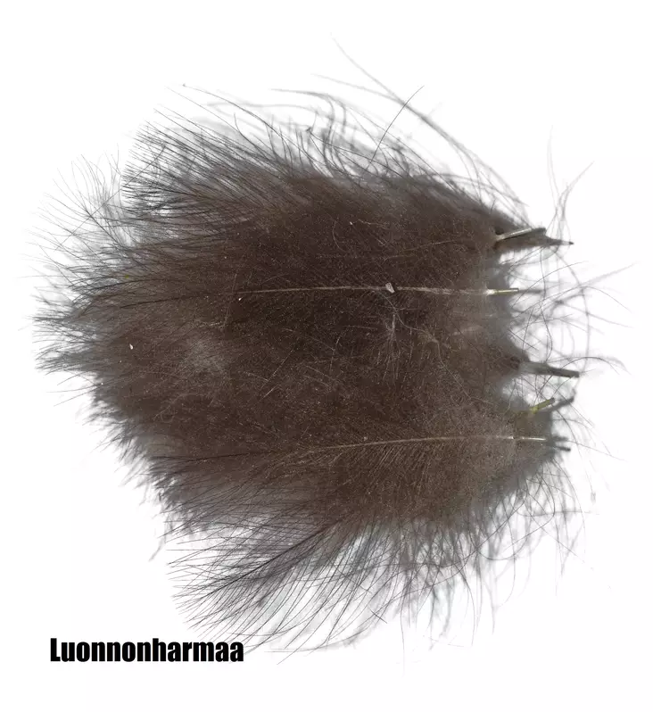 Eumer CDC-höyheniä - Sulat, höyhenet, päät, pyrstöt - 6430028180011 - 1