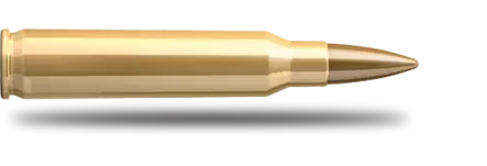 Sellier & Bellot .223 Rem. FMJ 3,6 g / 800 ptr - .223 Remington kiväärinpatruunat - 8590690335725_2 - 2