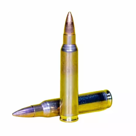 Swiss P DS-1 .223 Rem. FMJ 3,56 g - .223 Remington kiväärinpatruunat - 7640231350142 - 2