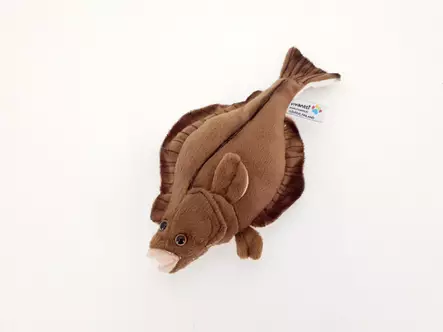 Pehmokala Kampela 25cm - Pehmolelut - 6430018779324 - 1