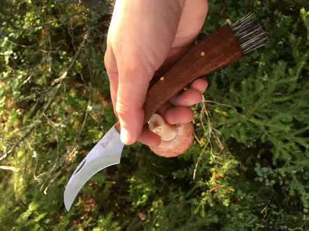 Retki Sieniveitsi - Puukot - 6418536006634 - 2