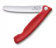 Victorinox Picnic Knife - Victorinox - 7613329191644 - 1