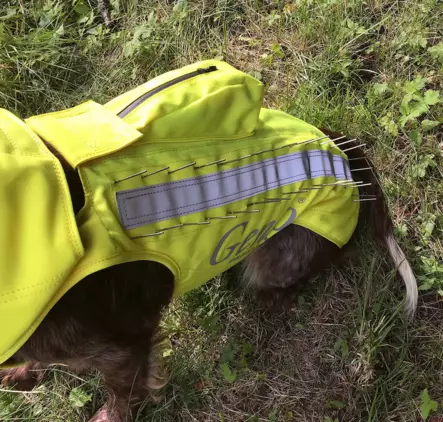 Genzo Wolf Susi suojaliivi koiralle - Koiratutkien lisävarusteet - 7333080077185 - 2