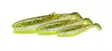 Savage Gear Cannibal Shad 8cm - Jigit - 5706301771315 - 1