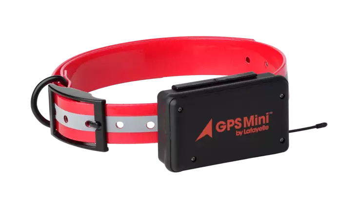 Lafayette GPS Mini C2 GSM/LTE - Koiratutkat - 7332020700015 - 1