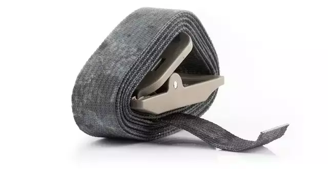 Zeiss Secacam Tree band - Riistakamerat - 4047865001755 - 1