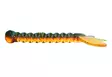 Svartzonker NATC Princess Dragonfly 6kpl - Jigit - 7340031020367 - 2