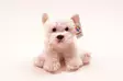 Pehmoeläin Koira Westie 24cm - Pehmolelut - 6430018771878 - 1