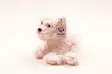 Pehmoeläin Koira Westie 24cm - Pehmolelut - 6430018771878 - 2