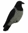 Varis, Live Crow - Houkutuskuvat - 6430038641038 - 1