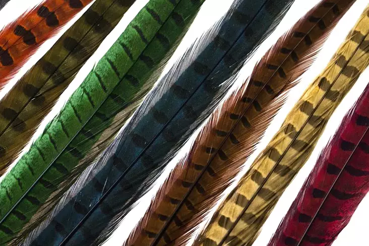 Fly-Dressing Fasaaninpyrstösulkapari - Sulat, höyhenet, päät, pyrstöt - 053526050509 - 1